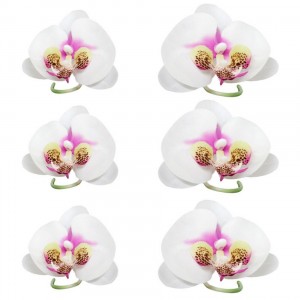 Kit de 6 flores de orquídeas 