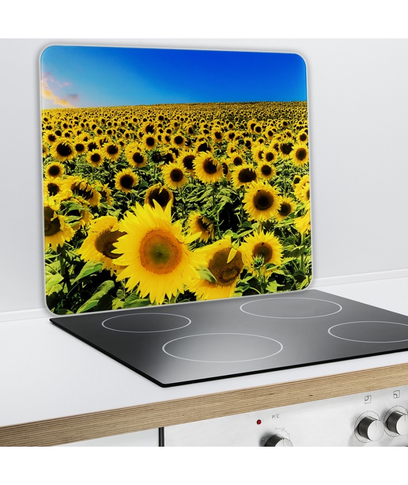 1 Protecção Vidro para Fogão Girassóis